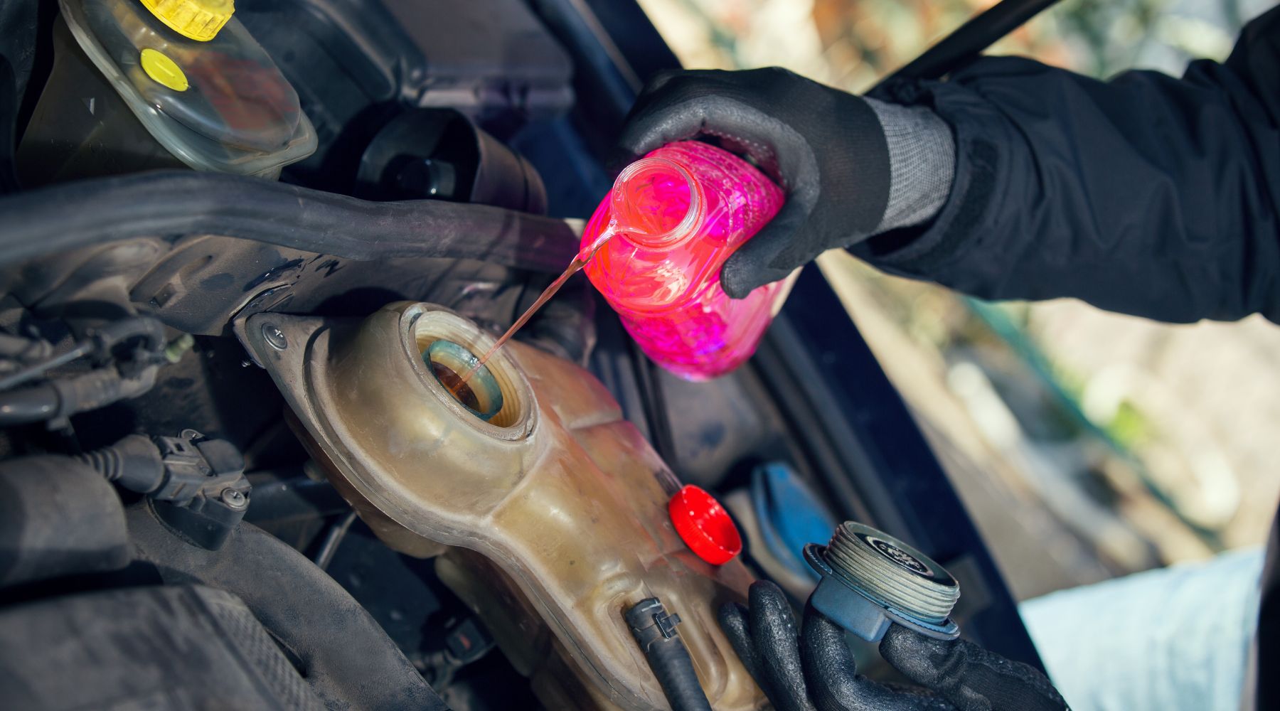 smaltimento liquido antigelo fratelli papa torino